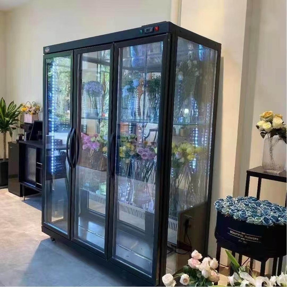 Refrigerated Display Case Flow - Refrigerated Display Case review and price