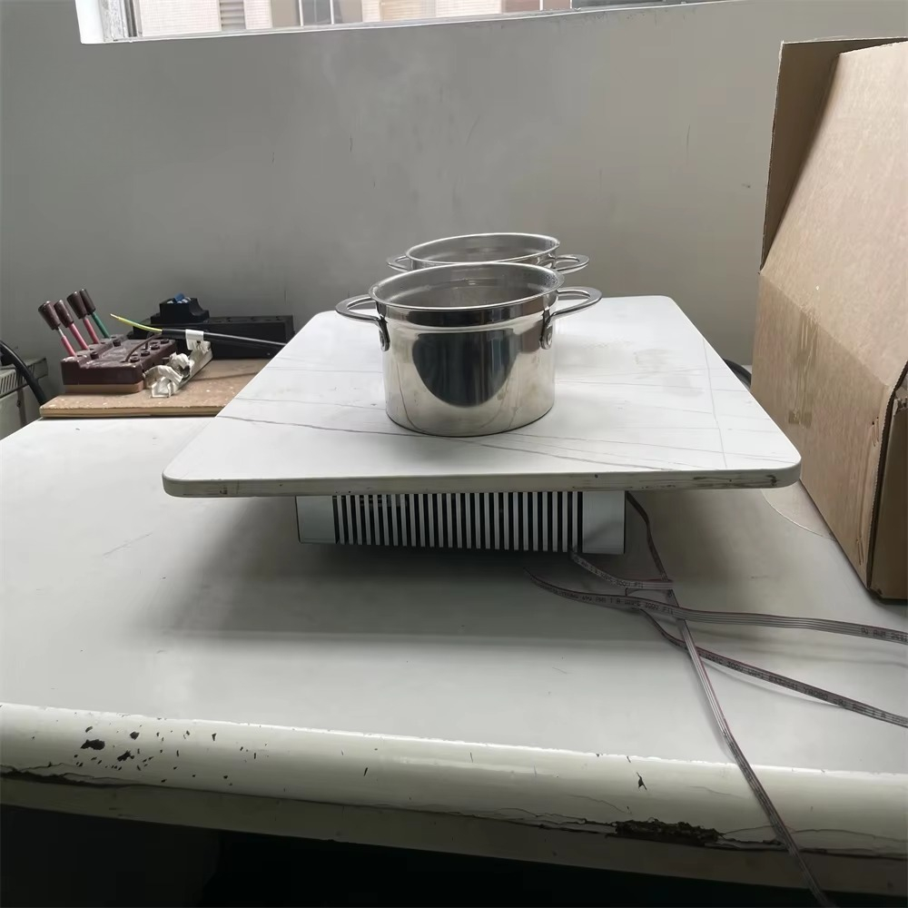 High Power Invisible, Half Bri - Commercial Kitchen Induction 리뷰 및 가격