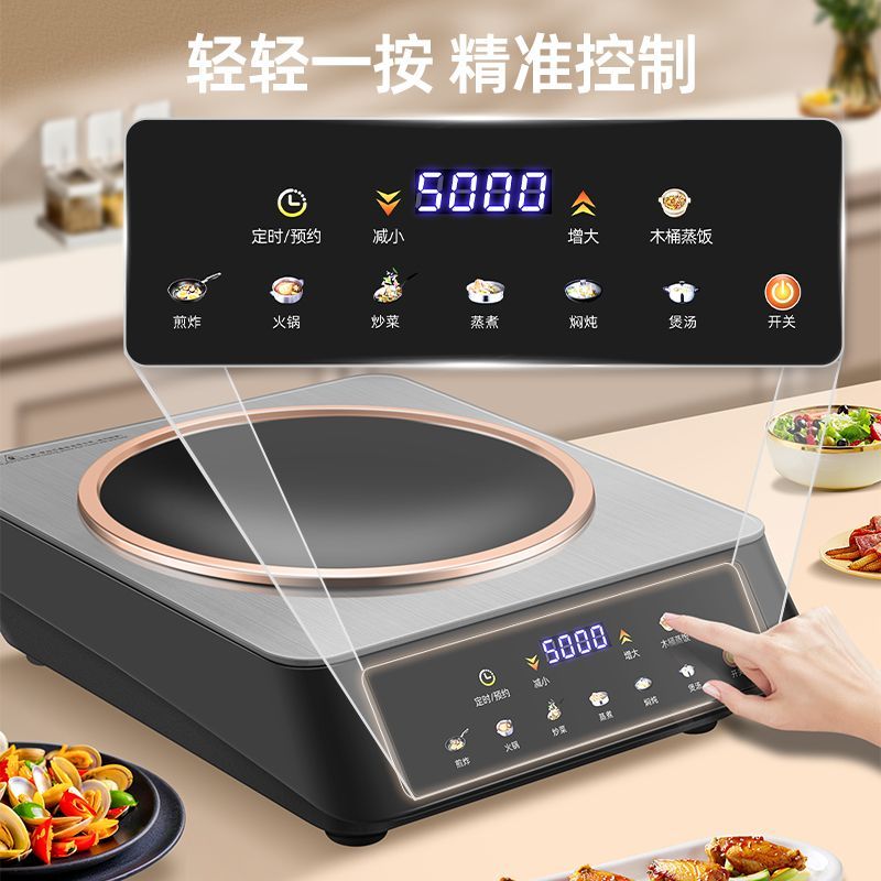 Banqiu 5000W High-Power Induct - Commercial Kitchen Induction 리뷰 및 가격