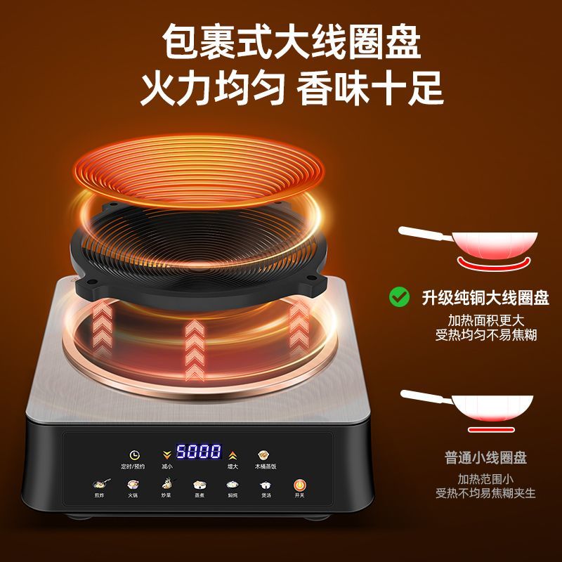 Banqiu 5000W High-Power Induct - Commercial Kitchen Induction 리뷰 및 가격